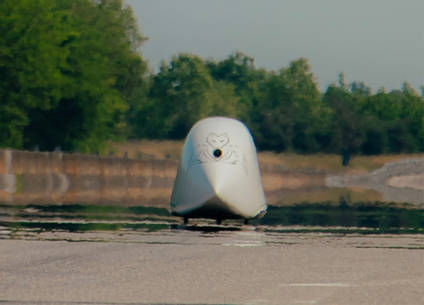Policumbent 10km World Record Attempt in action